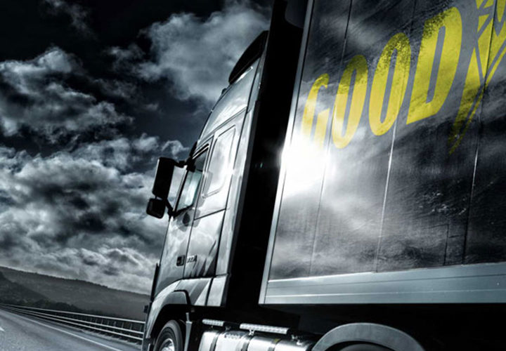 VIP program Goodyear promo